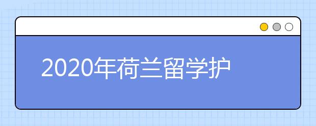 2020年荷兰留学护照补办指南