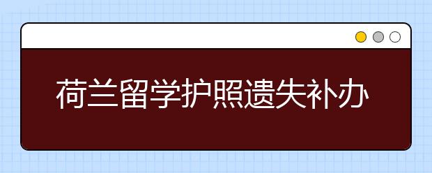 荷兰留学护照遗失补办指南