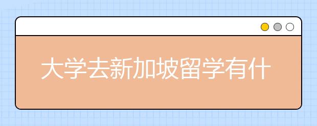 大学去新加坡留学有什么优势