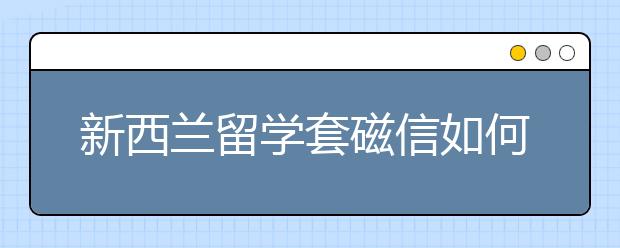 新西兰留学套磁信如何写