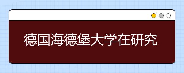 德国海德堡大学在研究上的优势