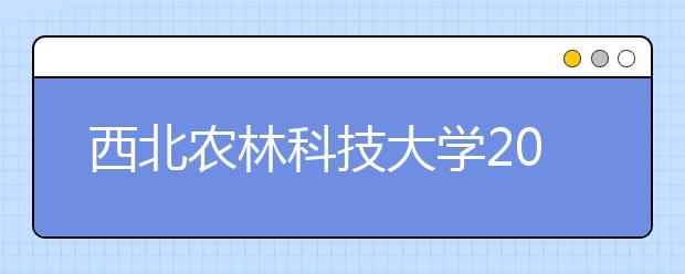 西北农林科技大学2020年承认美术统考成绩