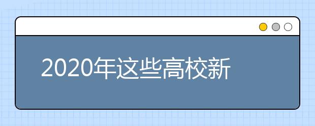 2020年这些高校新增了艺术类专业！