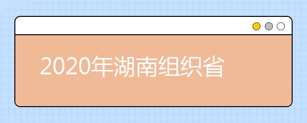 2020年湖南组织省外院校艺术类考试工作通知