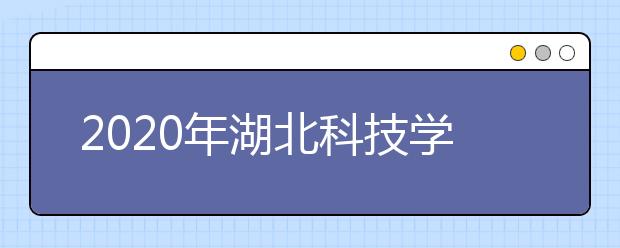 2020年湖北科技学院艺术类招生简章