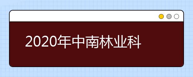 2020年中南林业科技大学美术类本科专业招生计划