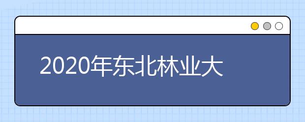 2020年东北林业大学美术类本科专业招生计划