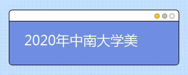 2020年中南大学美术类本科专业招生计划