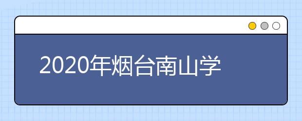 2020年烟台南山学院艺术类招生专业目录