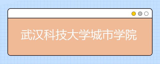 武汉科技大学城市学院2019年艺术类招生计划