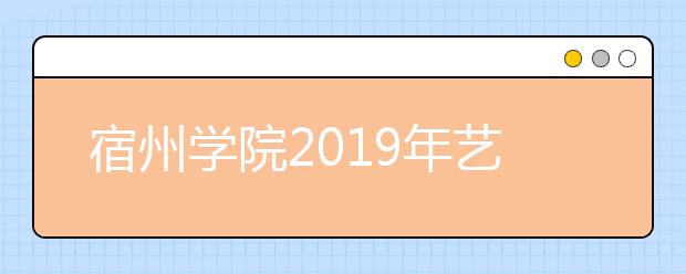 宿州学院2019年艺术类分省招生计划