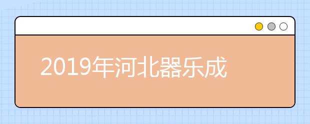 2019年河北器乐成绩分段统计表