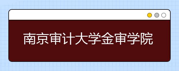 南京审计大学金审学院2019年江苏省美术类本科录取线