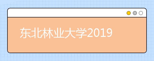 东北林业大学2019年河南省美术类专业录取线