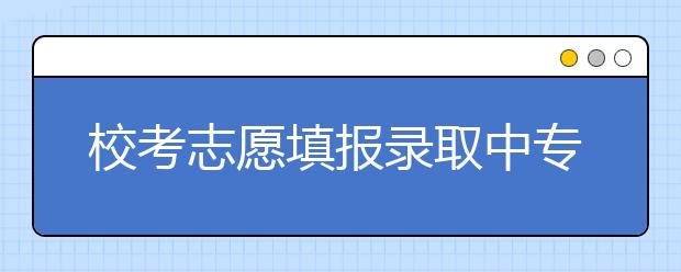 校考志愿填报录取中专业分和文化分占比非常重要！