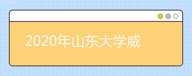 2020年山东大学威海分校艺术类本科招生计划