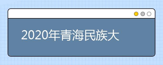 2020年青海民族大学艺术类本科专业拟招生计划