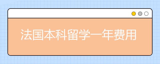 法国本科留学一年费用是多少