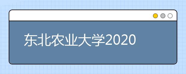 东北农业大学2020年承认美术统考成绩