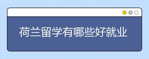 荷兰留学有哪些好就业的专业？