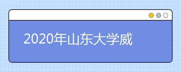 2020年山东大学威海分校艺术类本科招生计划