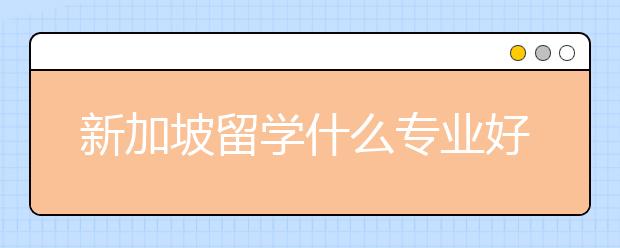 新加坡留学什么专业好学？