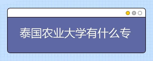 泰国农业大学有什么专业