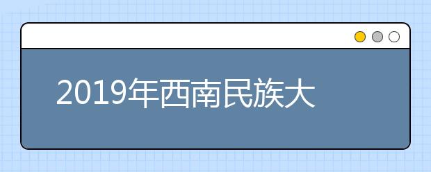 2019年西南民族大学艺术类本科专业录取分数线