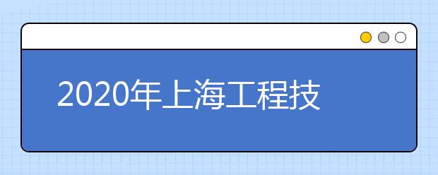 2020年上海工程技术大学艺术类本科招生计划