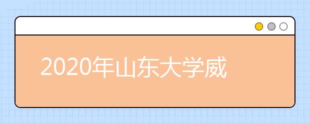 2020年山东大学威海分校艺术类本科招生计划