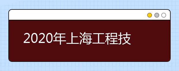 2020年上海工程技术大学艺术类本科招生计划