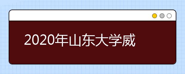 2020年山东大学威海分校艺术类本科招生计划