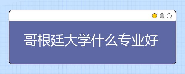 哥根廷大学什么专业好？