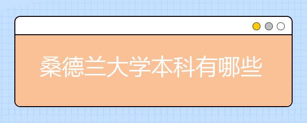 桑德兰大学本科有哪些优势专业？