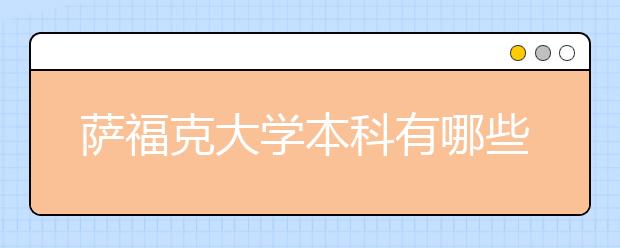 萨福克大学本科有哪些管理类专业？