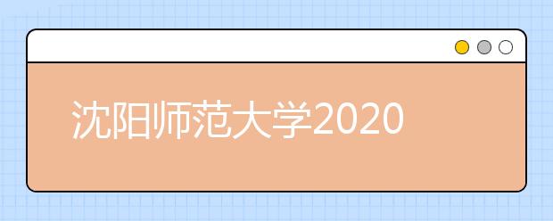 沈阳师范大学2020年承认各省美术统考成绩