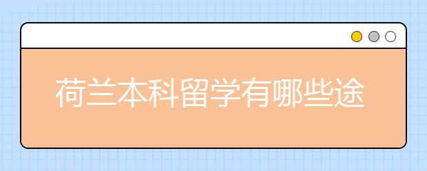 荷兰本科留学有哪些途径？