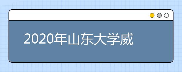 2020年山东大学威海分校艺术类本科招生计划