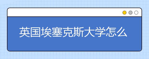 英国埃塞克斯大学怎么样