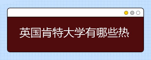 英国肯特大学有哪些热门专业