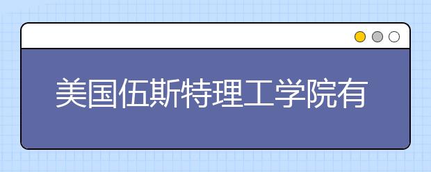 美国伍斯特理工学院有什么热门的学院