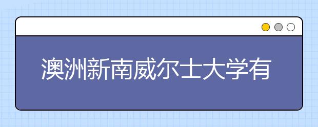 澳洲新南威尔士大学有哪些好专业