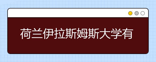 荷兰伊拉斯姆斯大学有什么专业