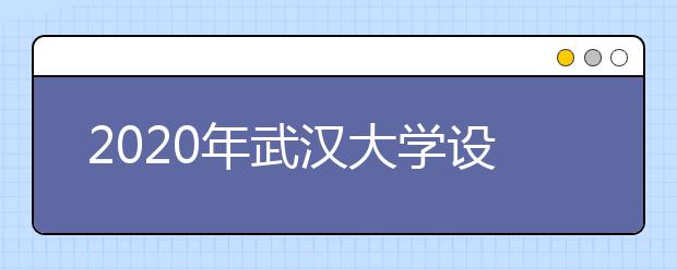 2020年武汉大学设计学类专业招生计划