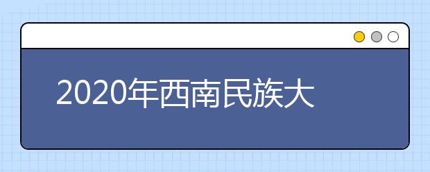 2020年西南民族大学艺术类本科专业拟招计划与范围