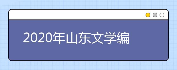 2020年山东文学编导统考一分一档表