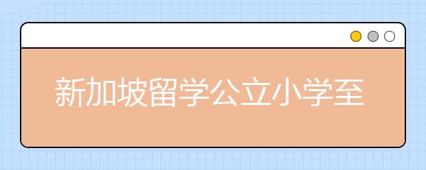 新加坡留学公立小学至大学有哪些申请条件