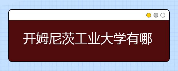 开姆尼茨工业大学有哪些专业？