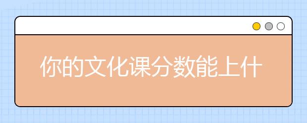 你的文化课分数能上什么学校？担心考不上，如何解决？