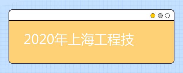 2020年上海工程技术大学艺术类本科招生计划